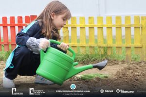 310360611_511738394296580_2869572736769682618_n